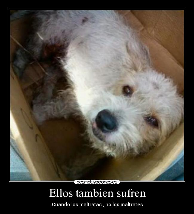 Ellos tambien sufren - 
