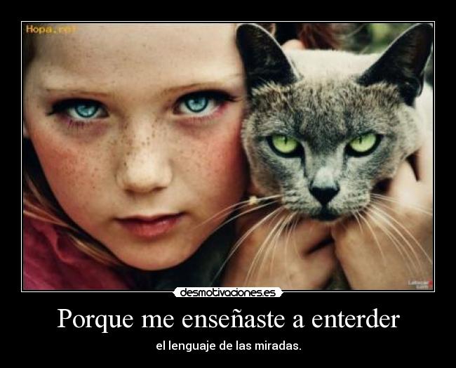 Porque me enseñaste a enterder -