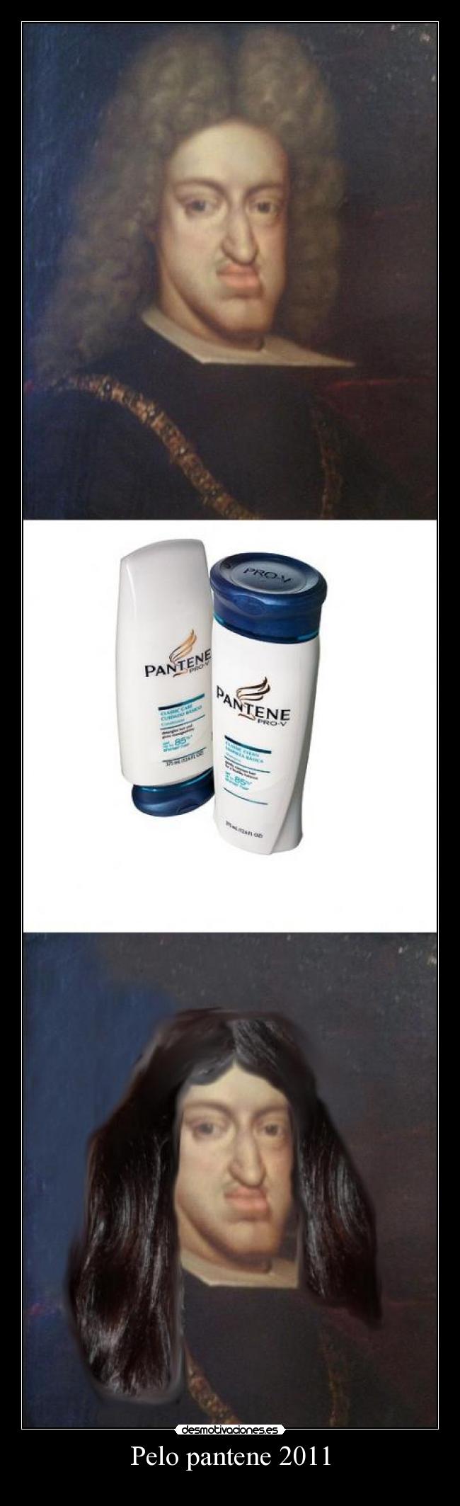 Pelo pantene 2011 - 
