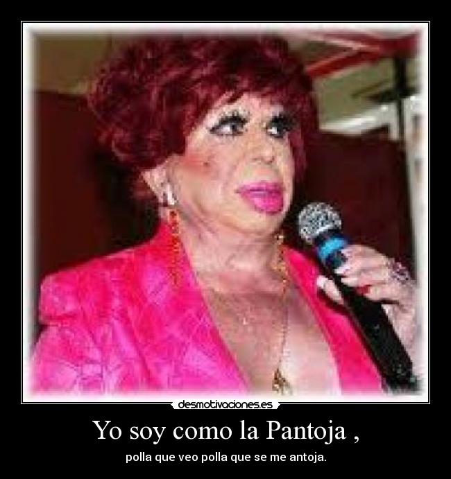 Yo soy como la Pantoja , - polla que veo polla que se me antoja.
