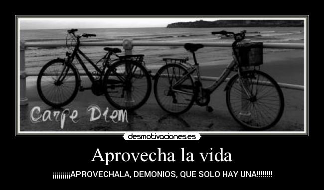 Aprovecha la vida -