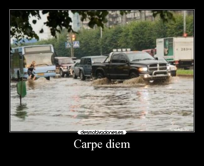 Carpe diem - 