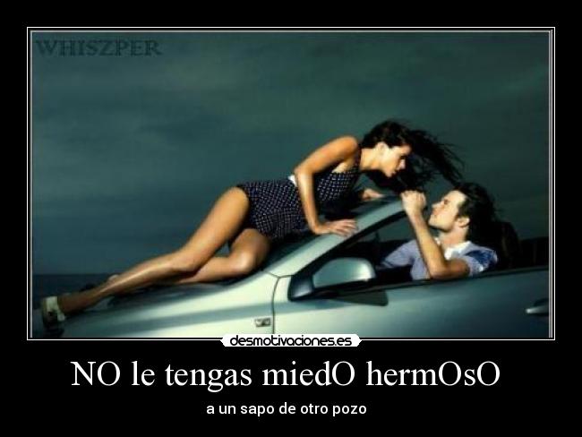 NO le tengas miedO hermOsO - a un sapo de otro pozo ♫