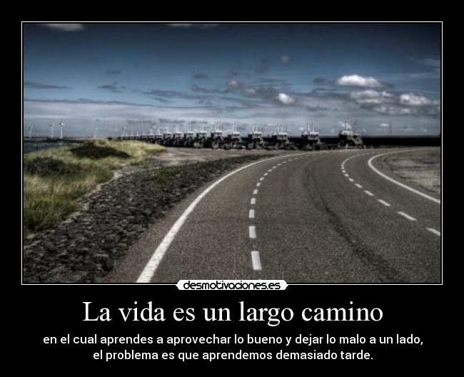La vida es un largo camino - en el cual aprendes a aprovechar lo bueno y dejar lo malo a un lado,
el problema es que aprendemos demasiado tarde.