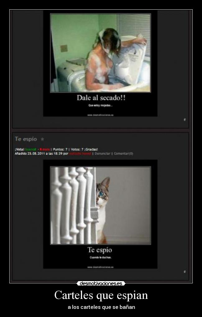 Carteles que espian - 