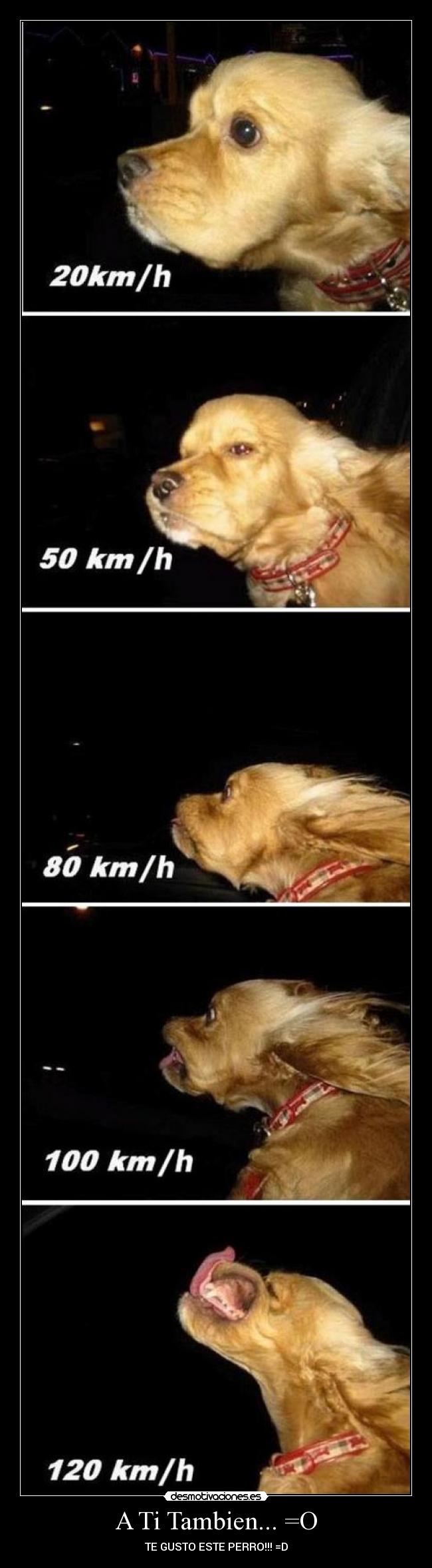 A Ti Tambien... =O - 