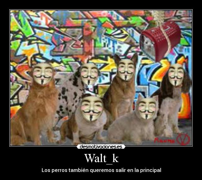 carteles walt_k perros principal vendetta desmotivaciones