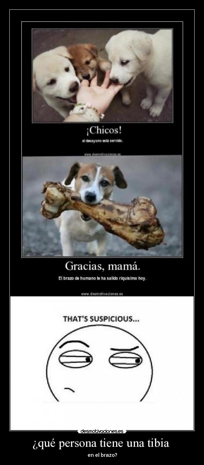 ¿qué persona tiene una tibia  - en el brazo?