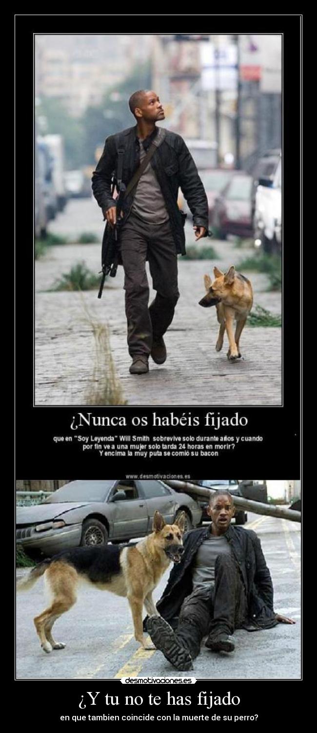 ¿Y tu no te has fijado - 