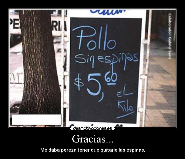 Gracias... - Me daba pereza tener que quitarle las espinas.