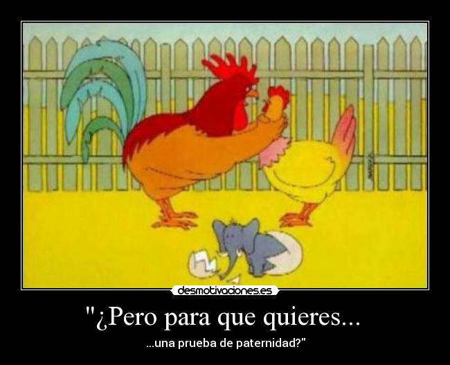 ¿Pero para que quieres... - ...una prueba de paternidad?