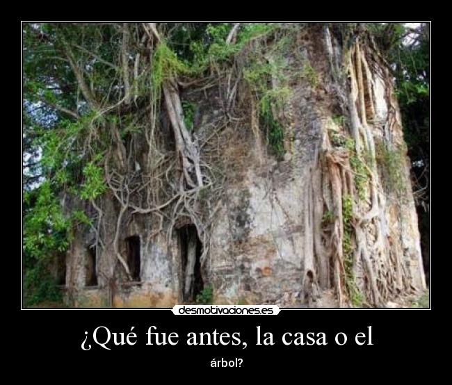 ¿Qué fue antes, la casa o el -