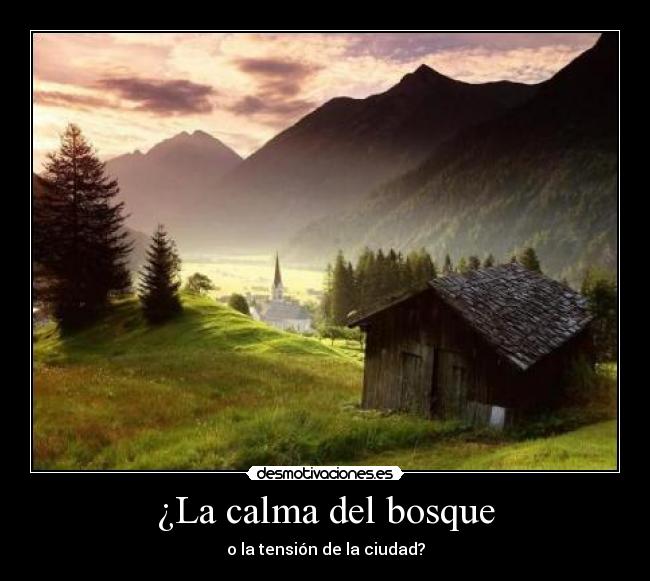 ¿La calma del bosque - o la tensión de la ciudad?