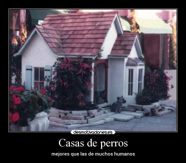 Casas de perros -