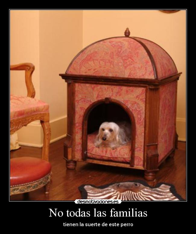 No todas las familias - tienen la suerte de este perro