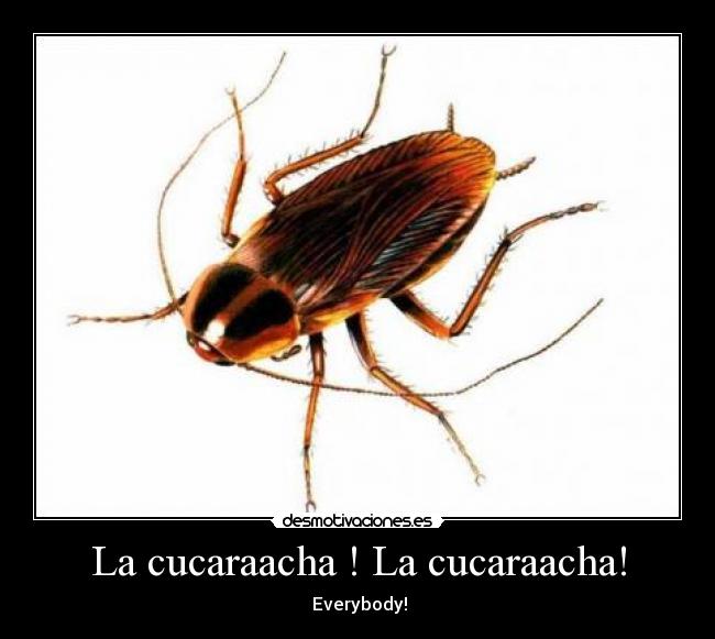La cucaraacha ! La cucaraacha! - ♪ Everybody! ♪