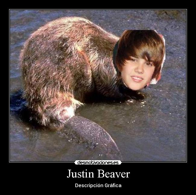 Justin Beaver -