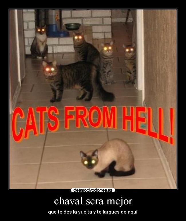 chaval sera mejor - que te des la vuelta y te largues de aquí 