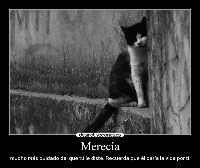 Merecía - mucho más cuidado del que tú le diste. Recuerda que él daría la vida por ti.