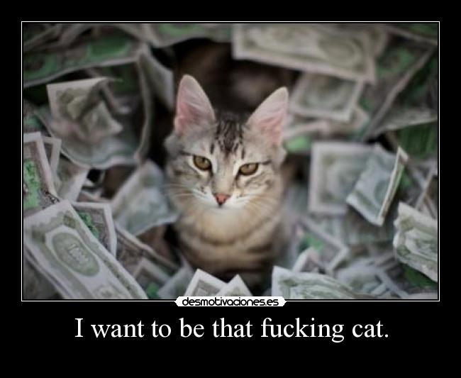 I want to be that fucking cat. - 