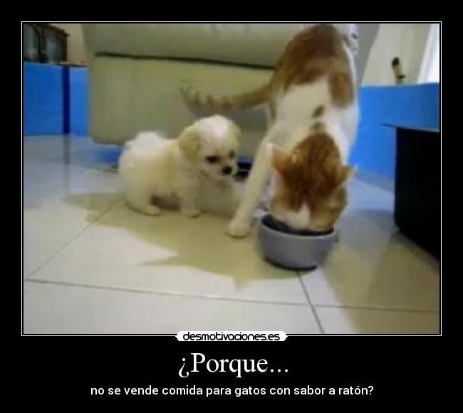 ¿Porque... - no se vende comida para gatos con sabor a ratón?