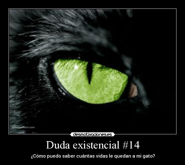 Duda existencial #14 -