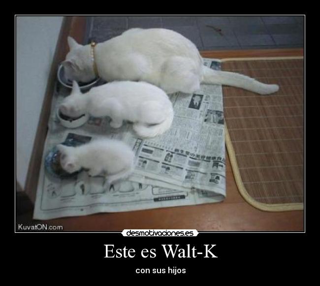 Este es Walt-K -