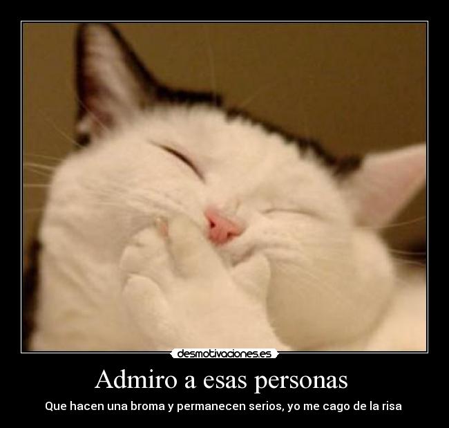 carteles risa admirar broma desmotivaciones