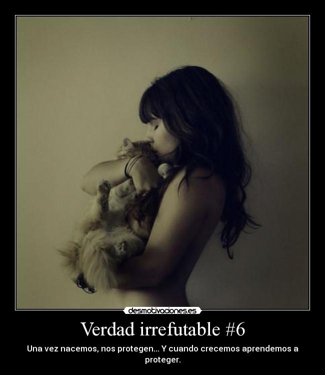 Verdad irrefutable #6 - 