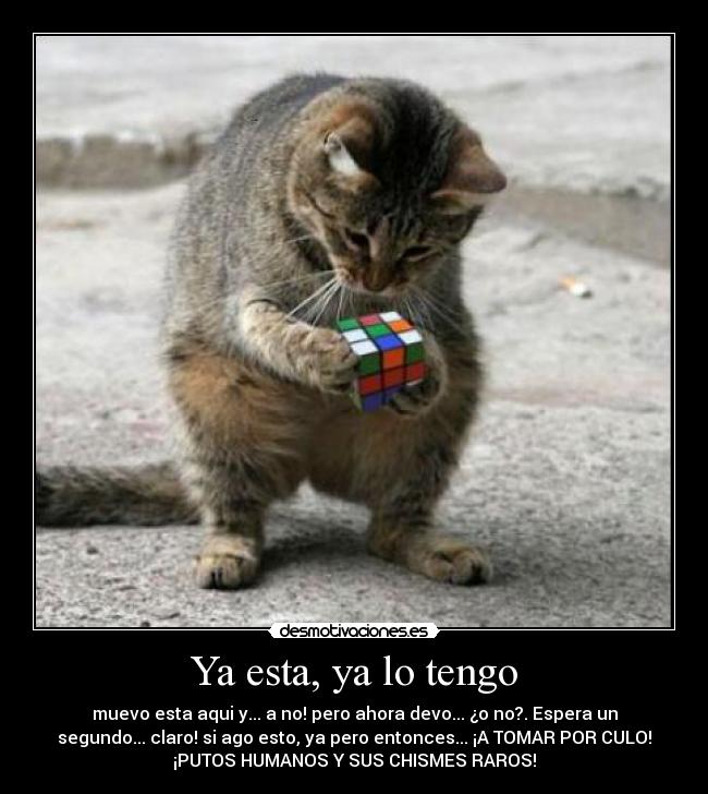 Ya esta, ya lo tengo -