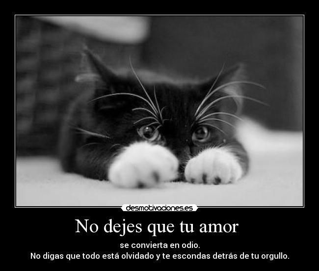 No dejes que tu amor -