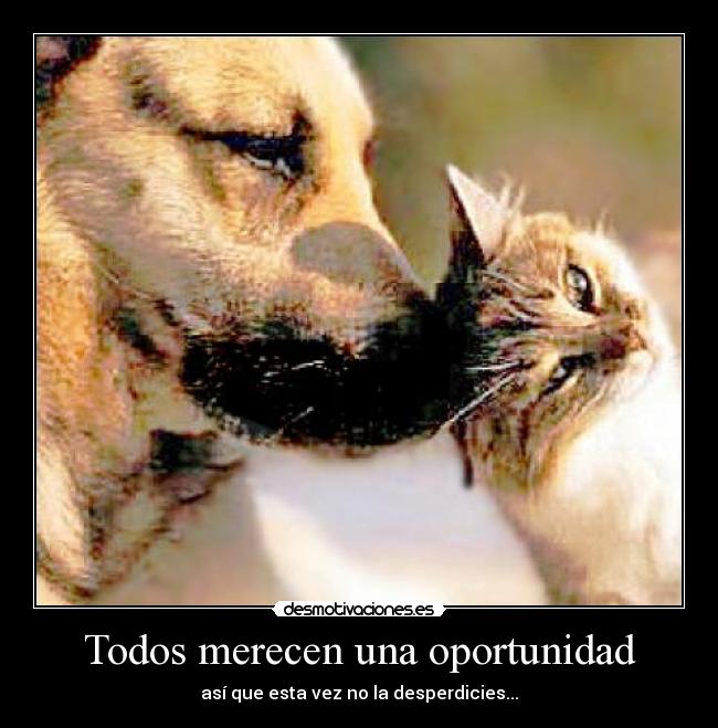 carteles todos merecemos una segunda oportunidad vida desmotivaciones