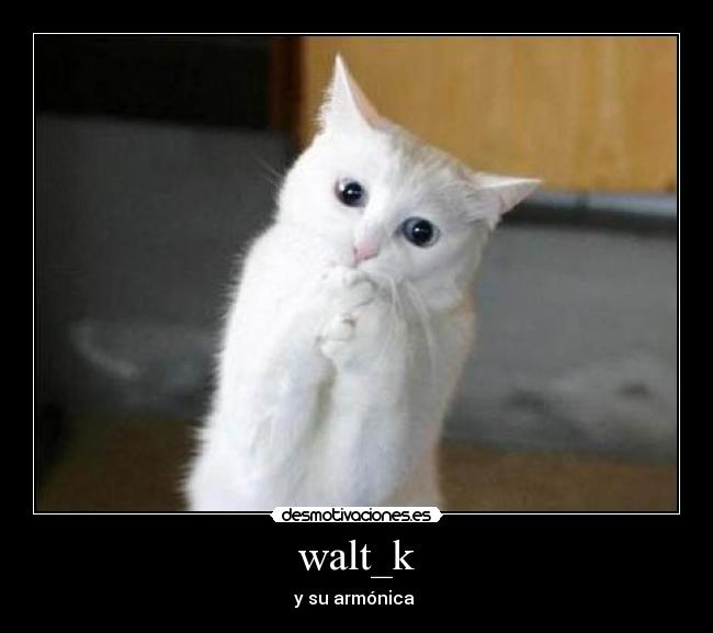  walt_k  - y su armónica 