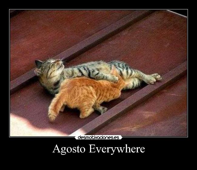 Agosto Everywhere - 