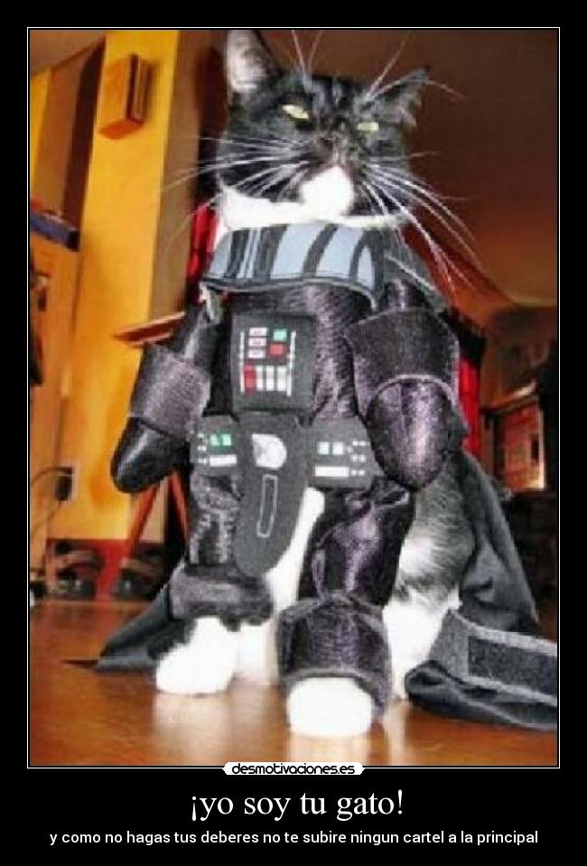 ¡yo soy tu gato! - 