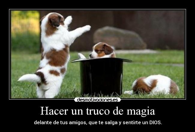 Hacer un truco de magia -
