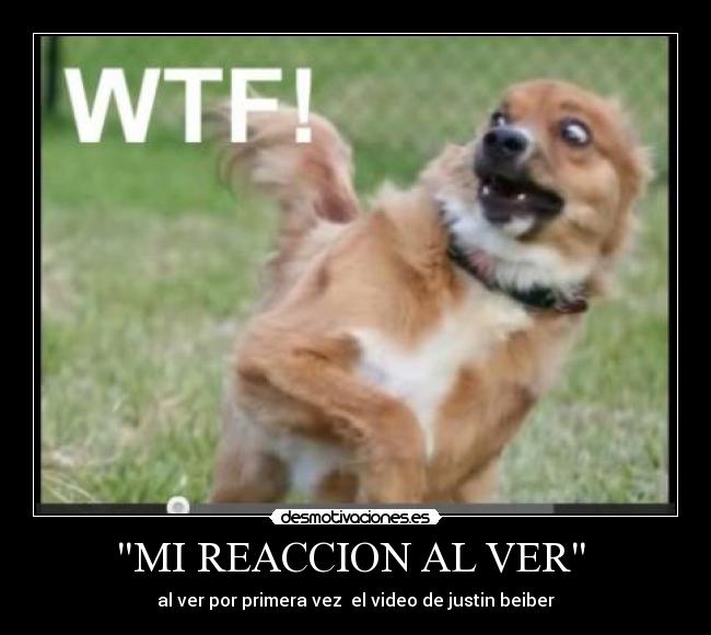 MI REACCION AL VER  - 