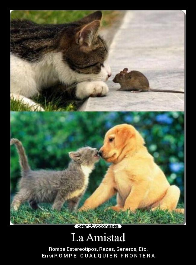 La Amistad - Rompe Estereotipos, Razas, Generos, Etc.
En sí R O M P E C U A L Q U I E R F R O N T E R A
