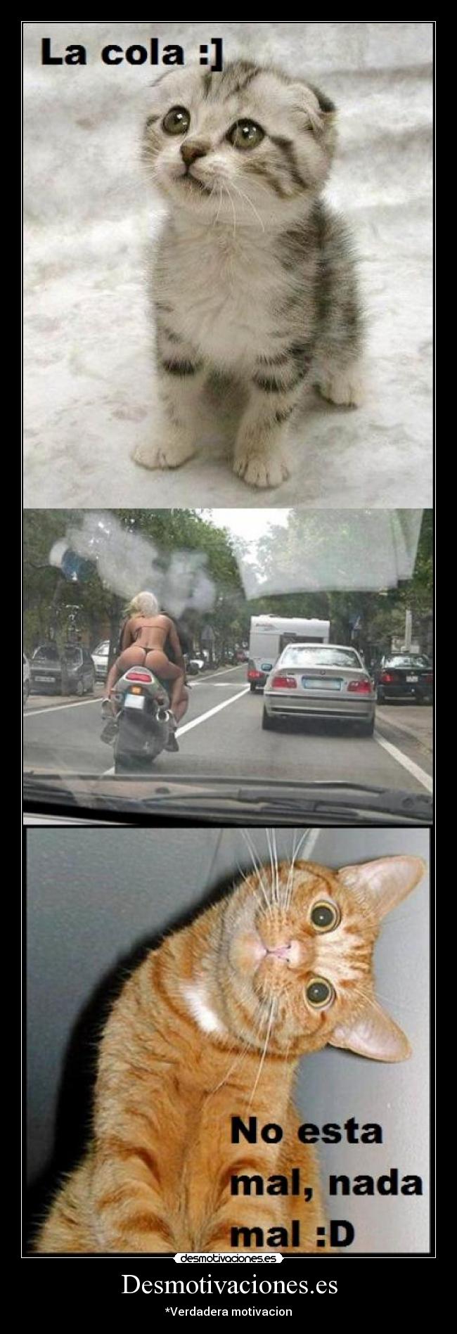 Desmotivaciones.es -