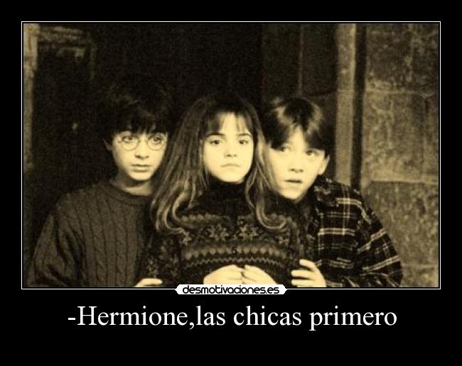 carteles harry ron hijos puta las chicas primero hermione jodete toca delante desmotivaciones