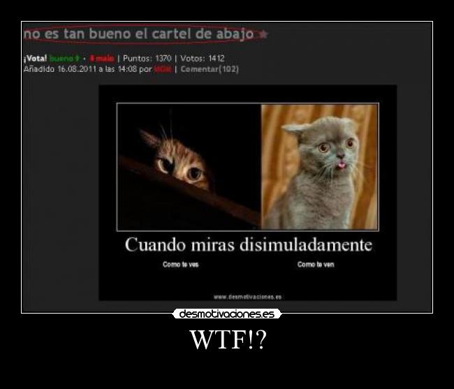 WTF!? -