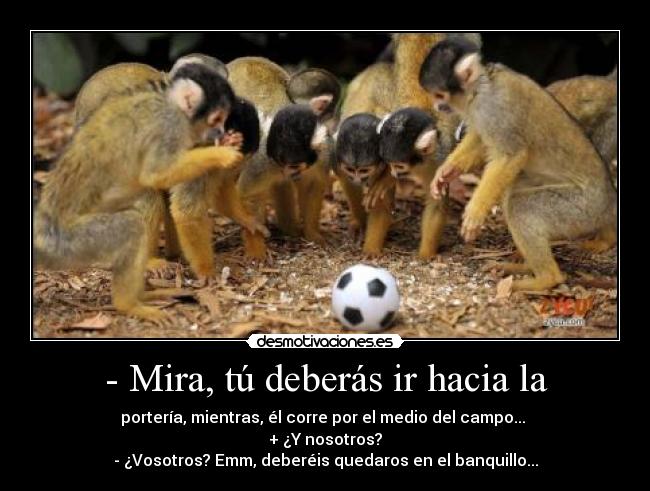 - Mira, tú deberás ir hacia la -