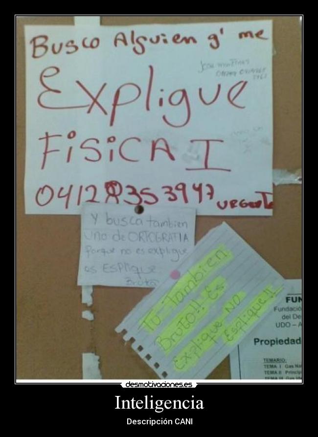 Inteligencia - Descripción CANI