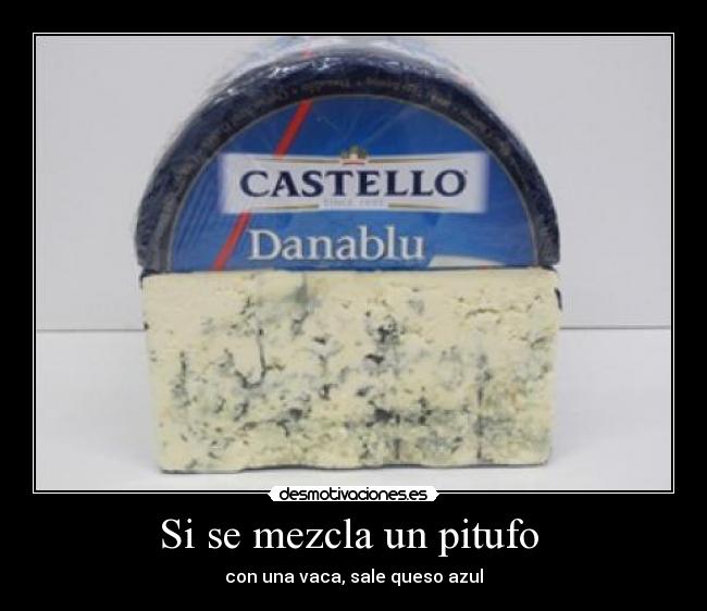 Si se mezcla un pitufo  - con una vaca, sale queso azul