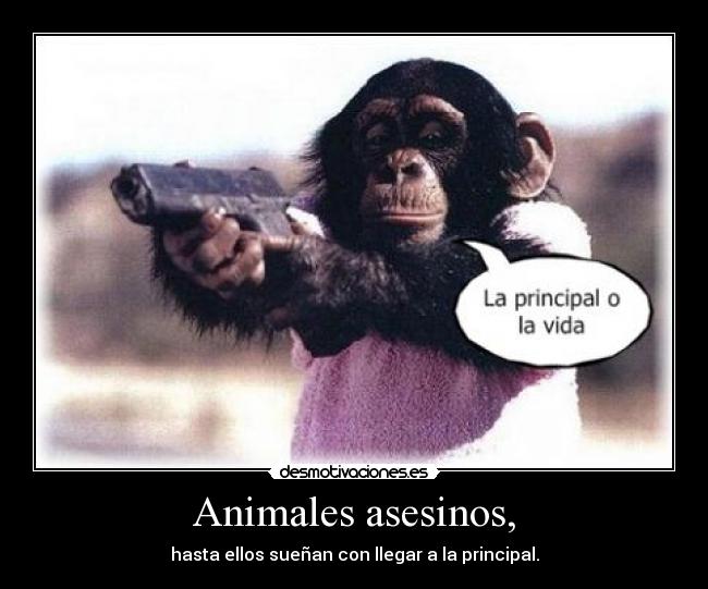 Animales asesinos, - 