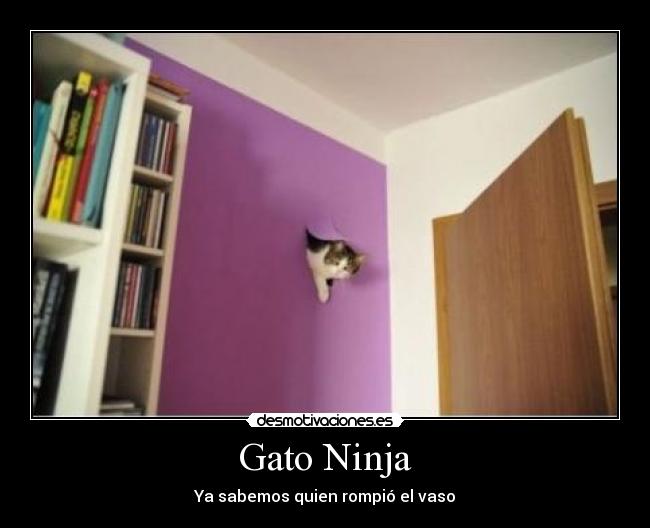 Gato Ninja - 