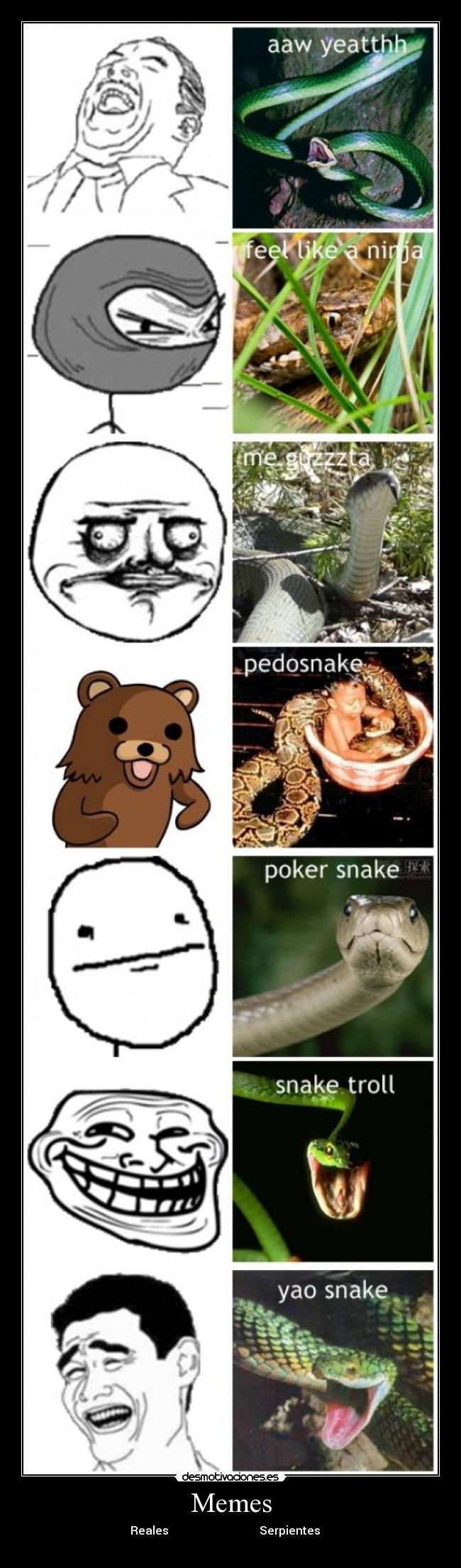 Memes - Reales Serpientes