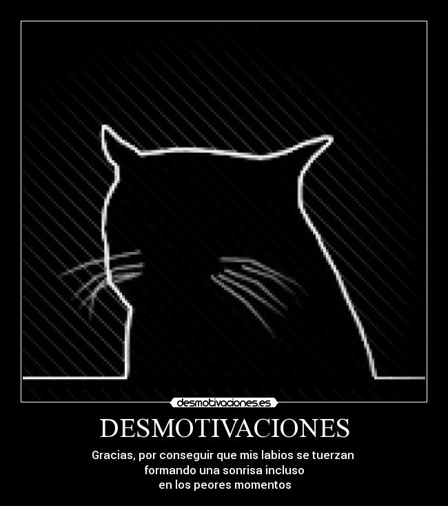 DESMOTIVACIONES - 