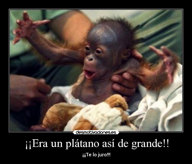 ¡¡Era un plátano así de grande!! -