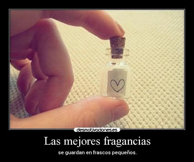 Las mejores fragancias - 